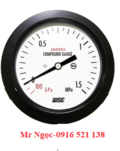 Đồng hồ áp suất Wise Model P111