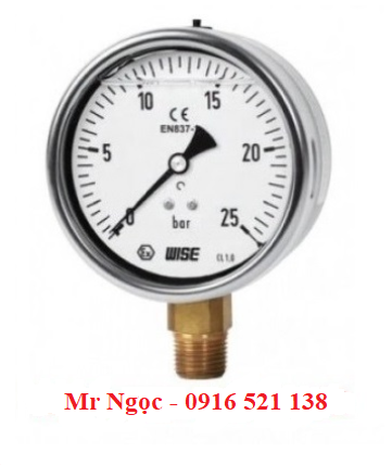 Đồng hồ áp suất Wise Model P259
