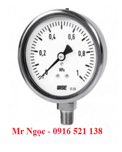Đồng hồ áp suất Wise Model P255