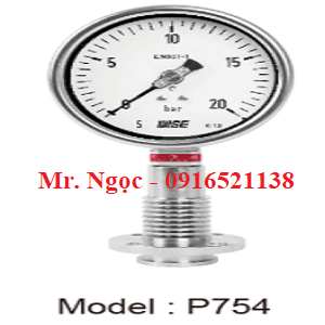 Đồng hồ áp suất màng Model P754 wise