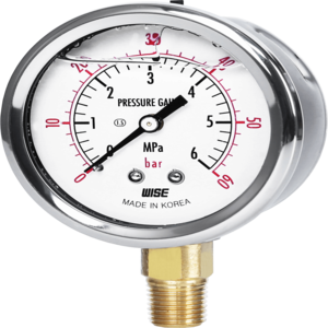 Đồng hồ áp suất WISE Model P254