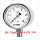 Đồng hồ đo áp suất Wise Hàn Quốc P252